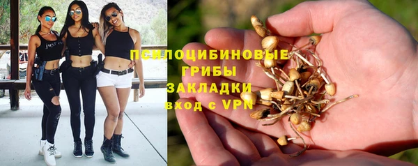 мет Карталы